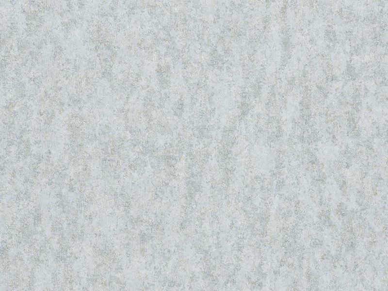 2021 CANOVA(M20)