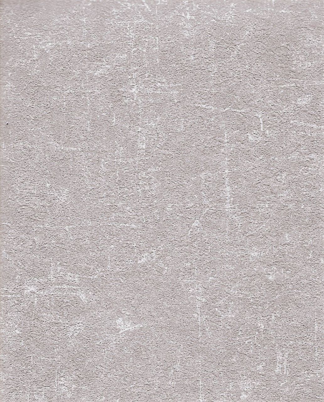 4300-4 GENESIS