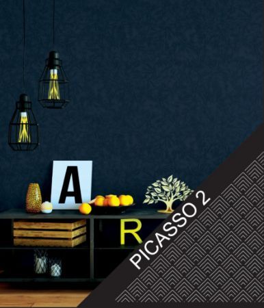 Picasso 2 26.5M2