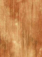 C9601 Fiorenza