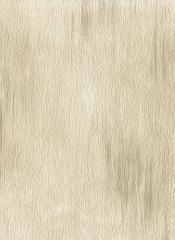 C9612 Fiorenza