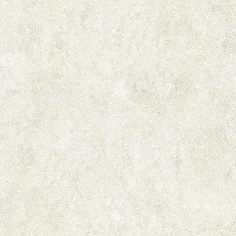 Accademia Duvar Kağıdı