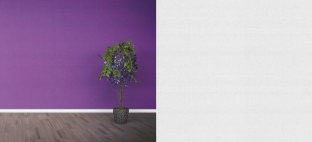 Picasso 742070 Boyanabilir Duvar Kağıdı
