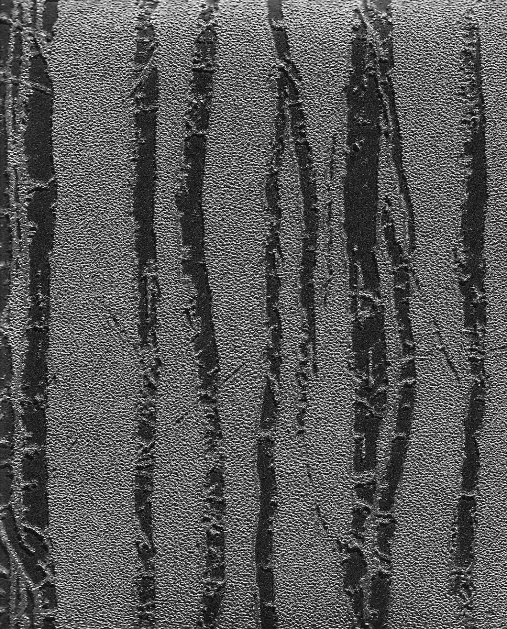4000-5 GENESIS