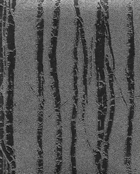 4000-5 GENESIS