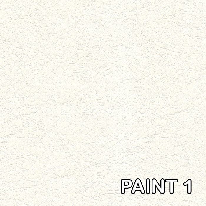 paint1 Astor