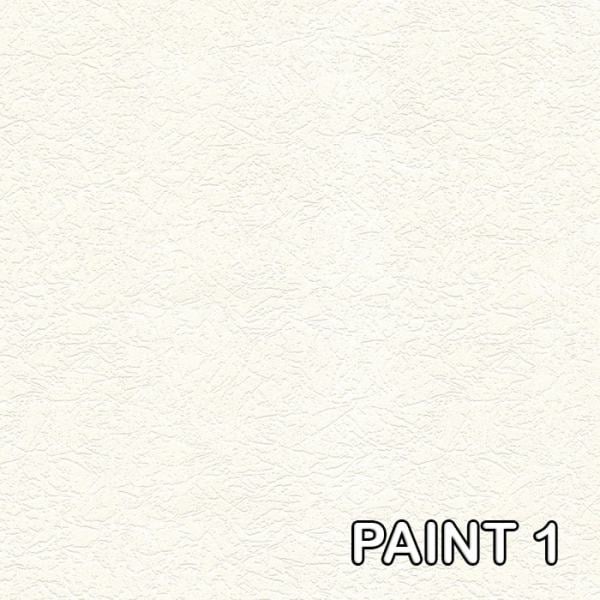 paint1 Astor
