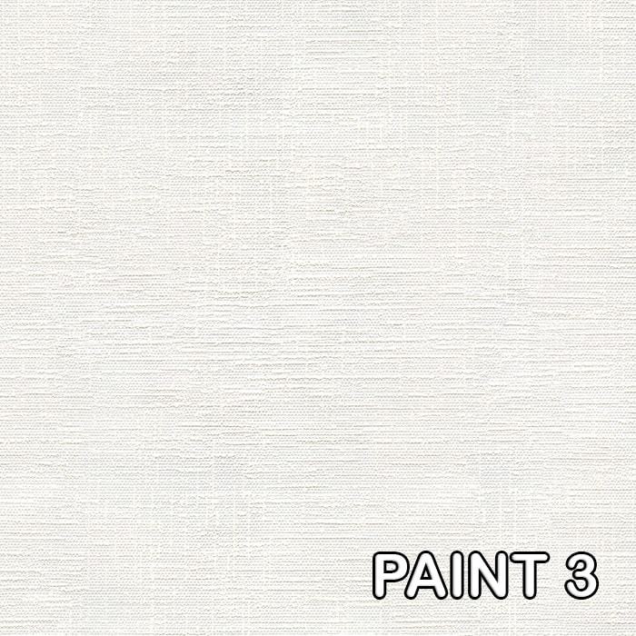 paint3 Astor