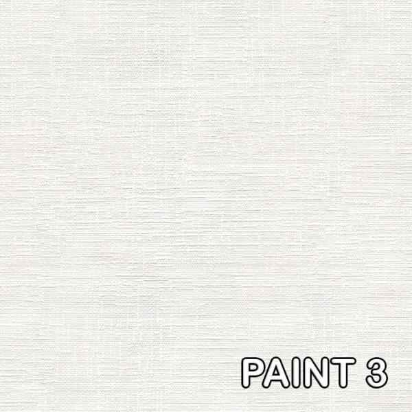 paint3 Astor