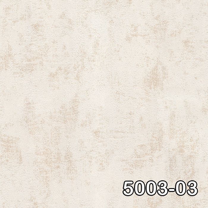 5003-03 Retro