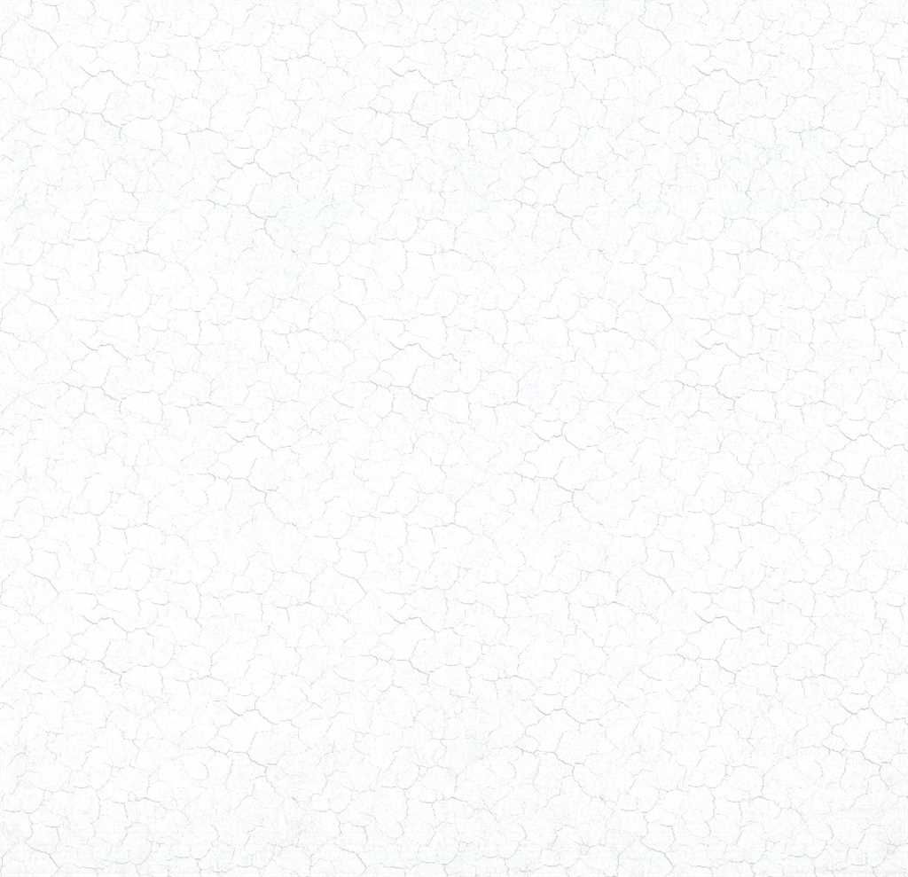 Ankawall Vision Duvar Kağıdı