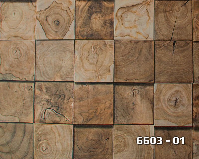 6603-01 Lamos