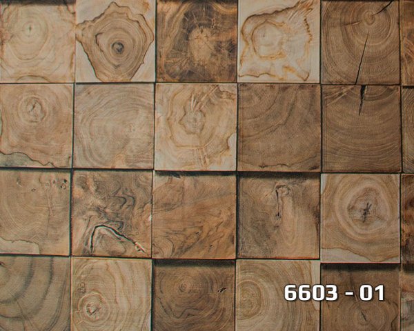 6603-01 Lamos