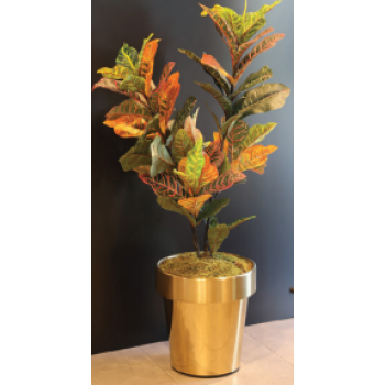 Aksy 0666 Pvd Gold  Konik Saksı K-O 22*31*34