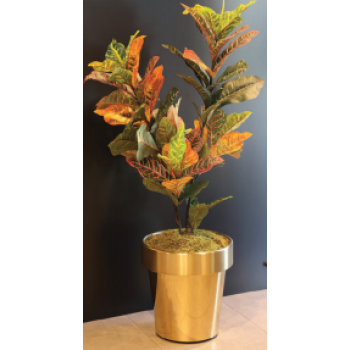 Aksy 0666 Pvd Gold  Konik Saksı K-O 22*31*34