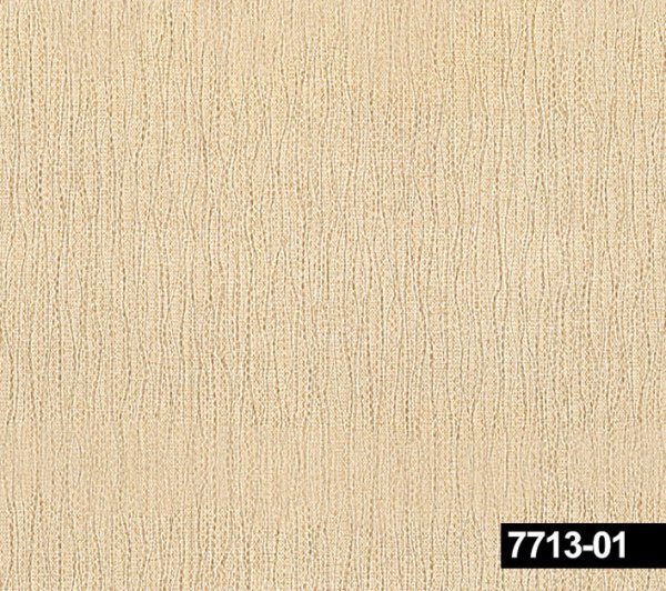7713-01 Venezia