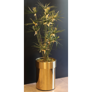 Aksy 0888 Pvd Gold Parlak/Mat Saksı S 24*33